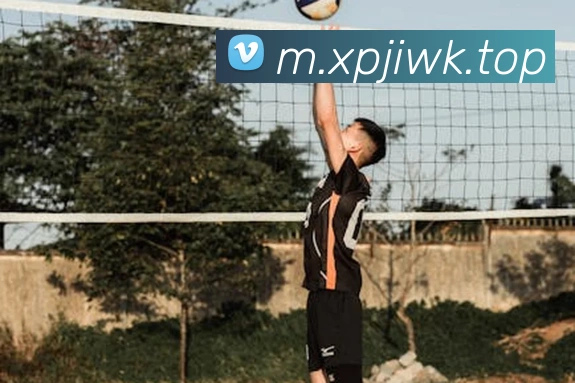 新葡京娱乐城官网平台生态图